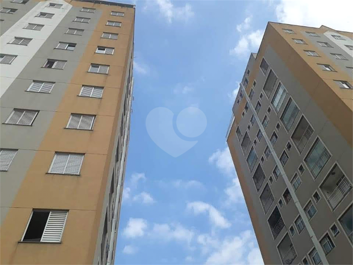 Foto REO631745