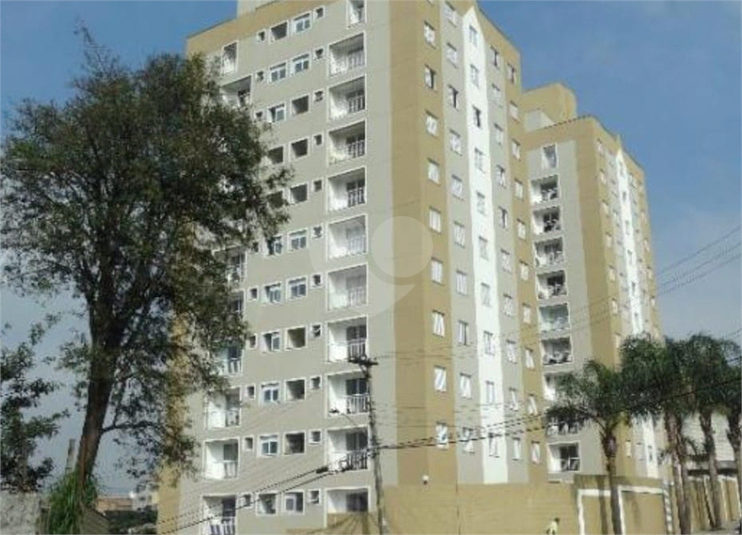 Foto REO631745