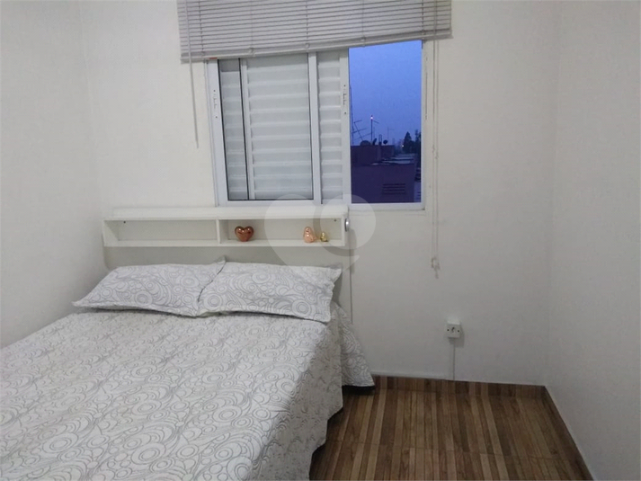Foto REO631745