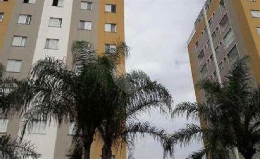 Foto REO631745