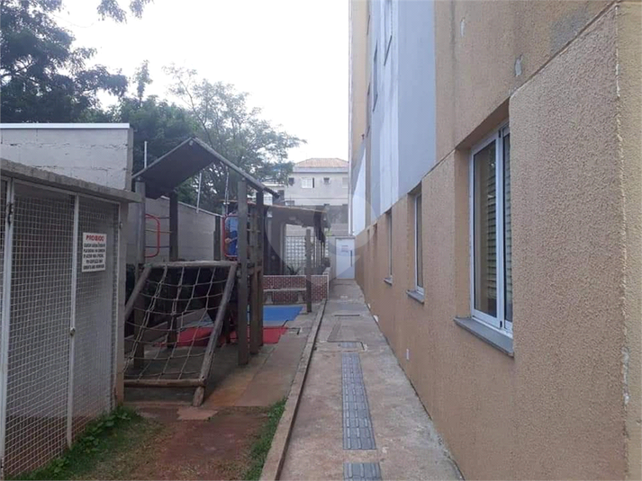 Foto REO631745