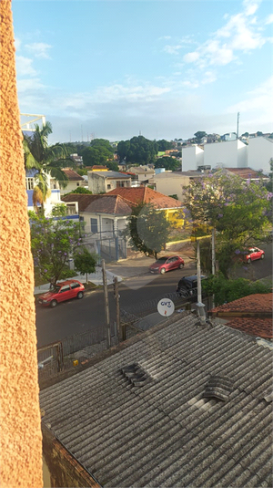 Foto REO631880