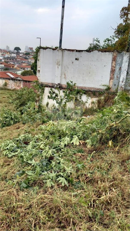 Venda Terreno São Paulo Vila Gustavo REO632580 10