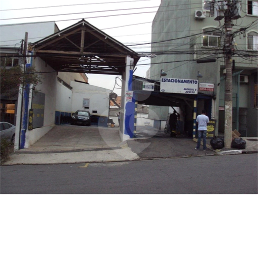 Foto REO633224