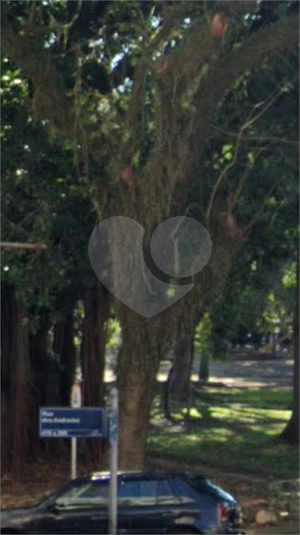 Foto REO633655