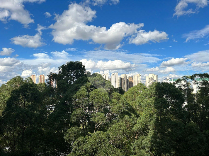Foto REO633779