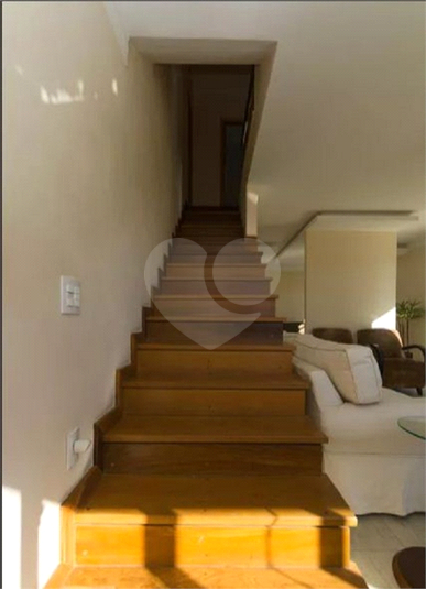 Foto REO633841