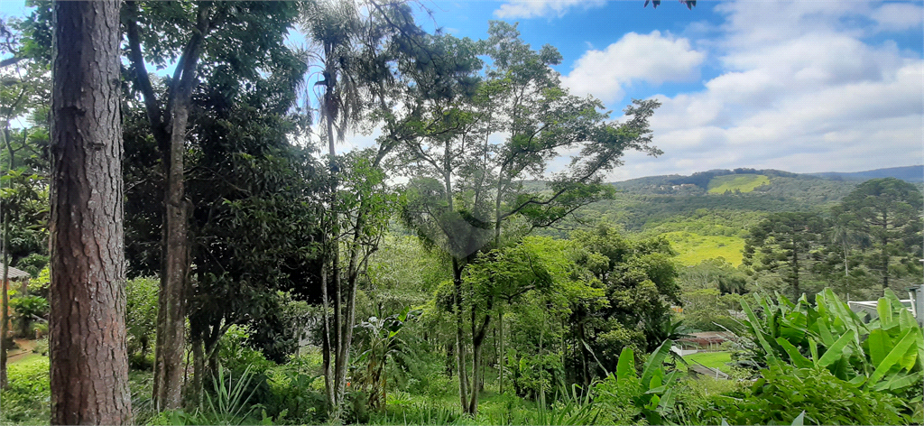 Venda Terreno Mairiporã Juqueri Mirim REO633909 3