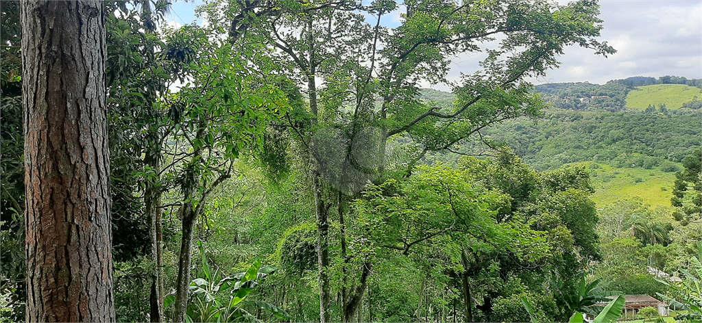 Venda Terreno Mairiporã Juqueri Mirim REO633909 10