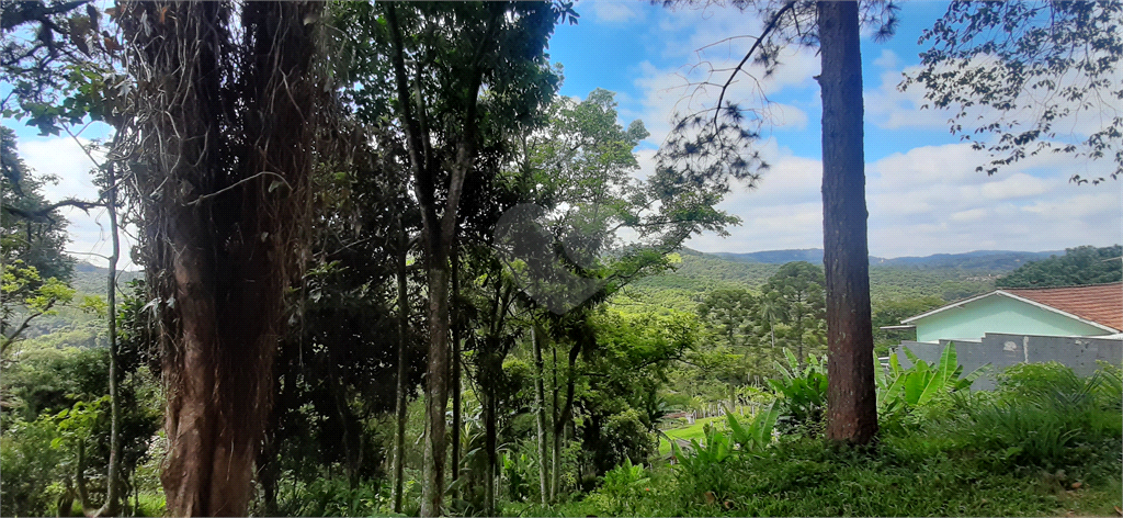 Venda Terreno Mairiporã Juqueri Mirim REO633909 4