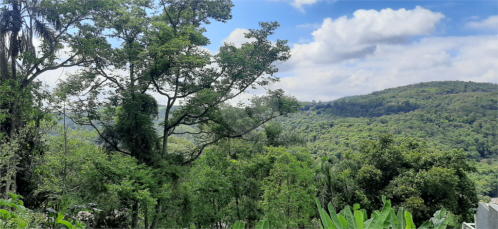 Venda Terreno Mairiporã Juqueri Mirim REO633909 6