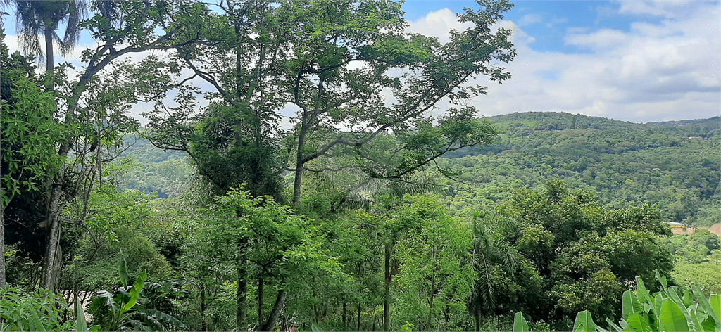 Venda Terreno Mairiporã Juqueri Mirim REO633909 8