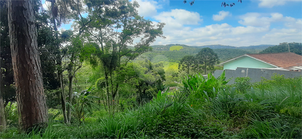 Venda Terreno Mairiporã Juqueri Mirim REO633909 12