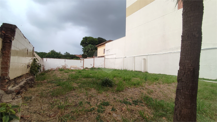 Foto REO634071