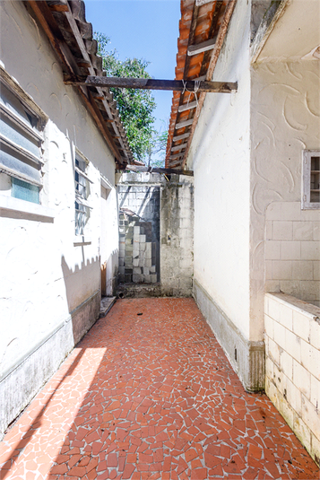 Foto REO63408
