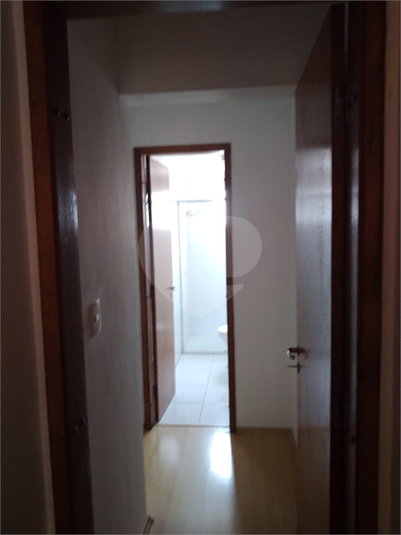 Foto REO634282