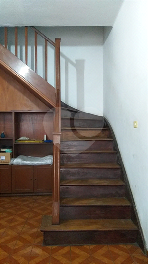 Foto REO634359