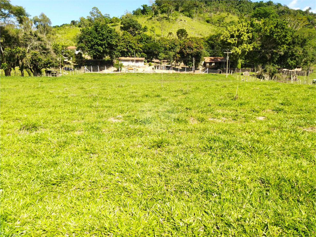 Venda Sítio São João Da Boa Vista Área Rural De São João Da Boa Vista REO634429 30