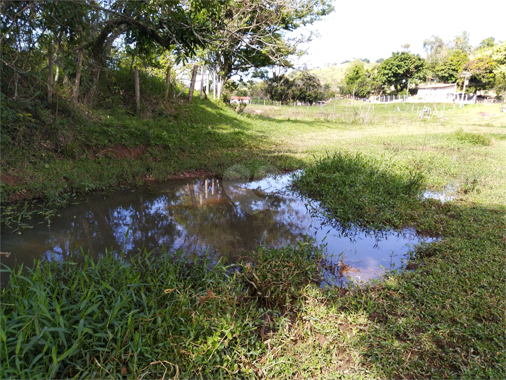 Venda Sítio São João Da Boa Vista Área Rural De São João Da Boa Vista REO634429 17