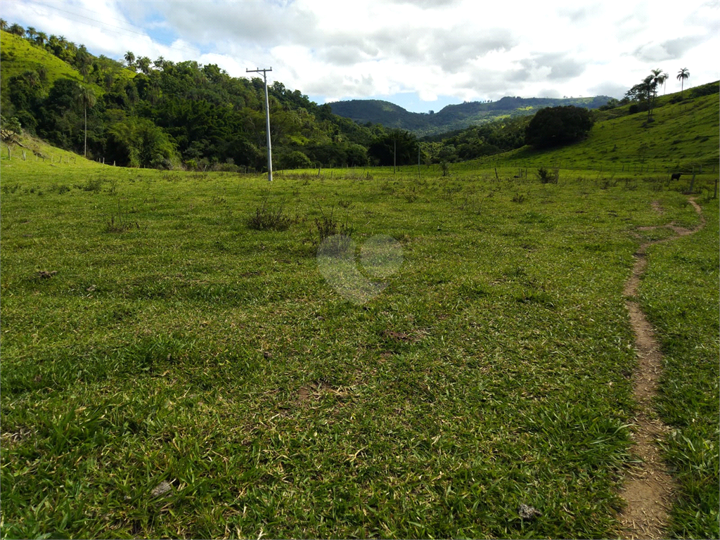 Venda Sítio São João Da Boa Vista Área Rural De São João Da Boa Vista REO634429 16