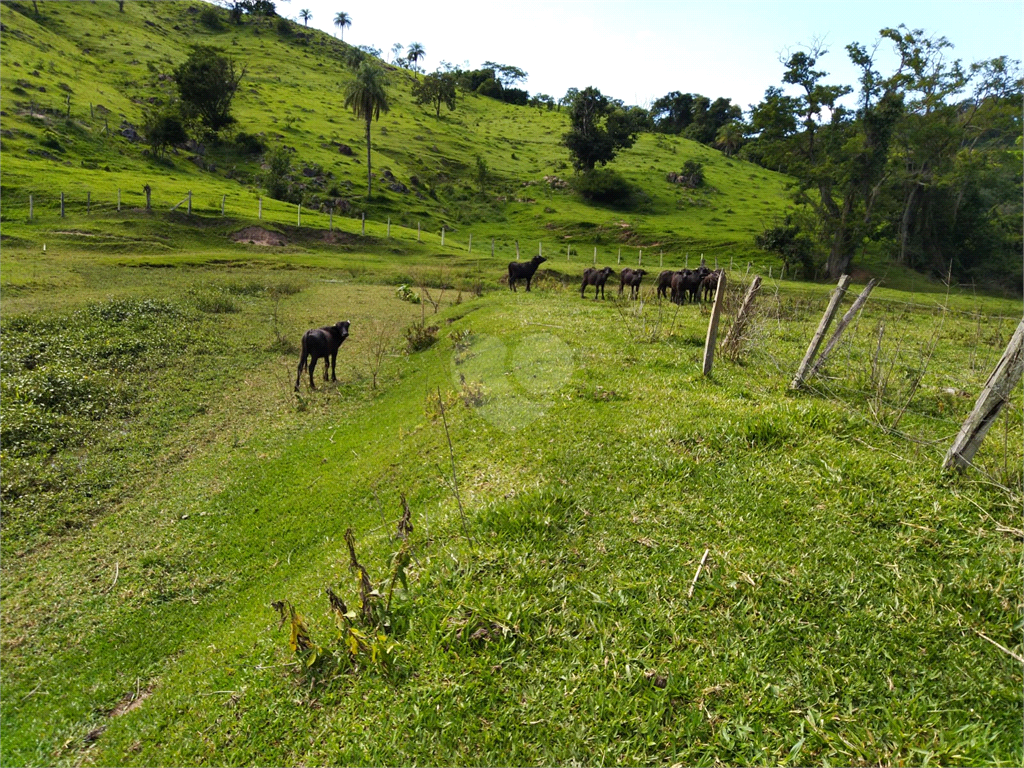 Venda Sítio São João Da Boa Vista Área Rural De São João Da Boa Vista REO634429 13