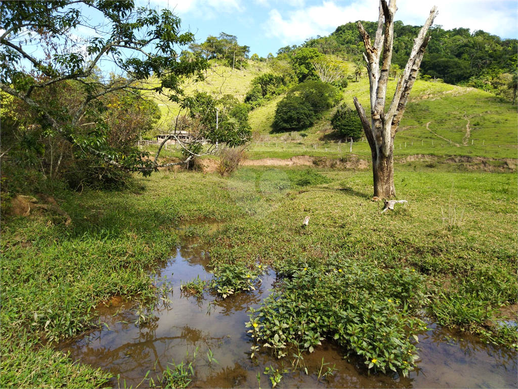 Venda Sítio São João Da Boa Vista Área Rural De São João Da Boa Vista REO634429 15