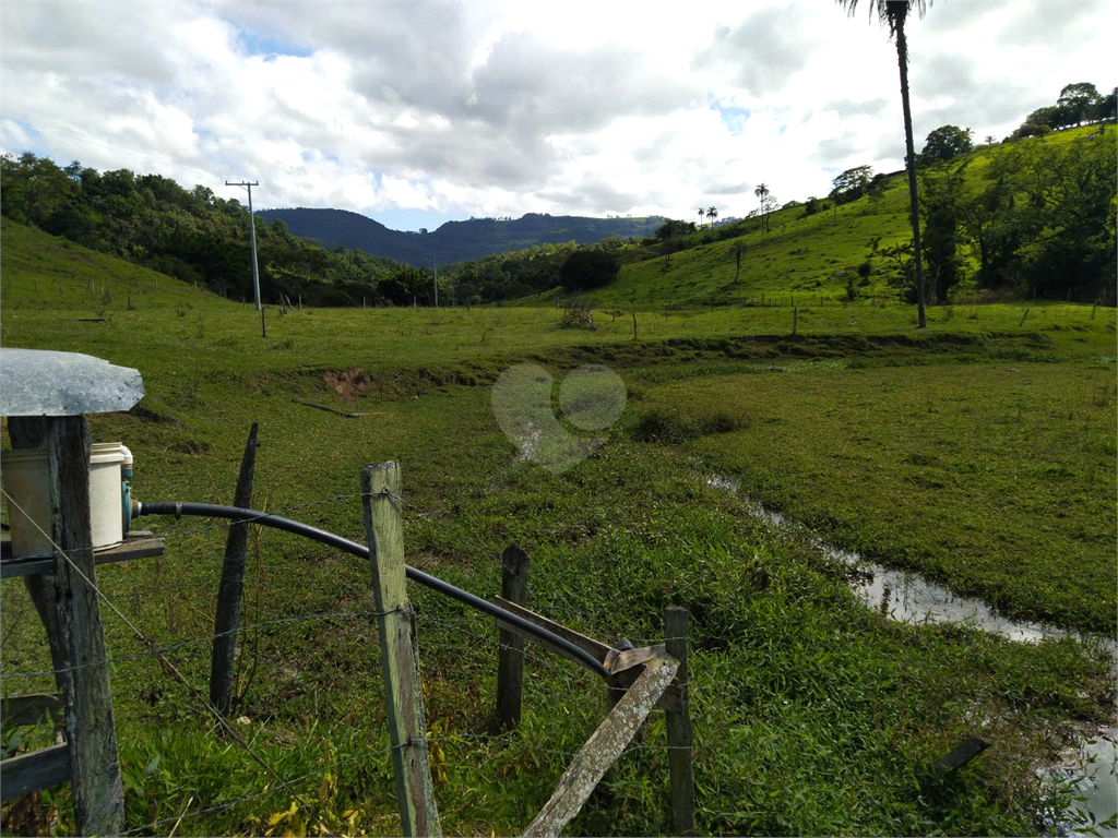 Venda Sítio São João Da Boa Vista Área Rural De São João Da Boa Vista REO634429 20