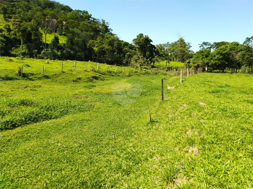 Venda Sítio São João Da Boa Vista Área Rural De São João Da Boa Vista REO634429 29