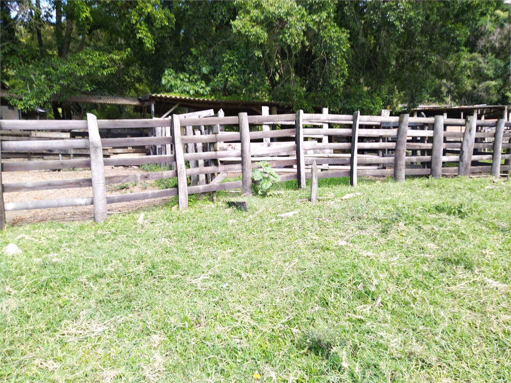 Venda Sítio São João Da Boa Vista Área Rural De São João Da Boa Vista REO634429 22