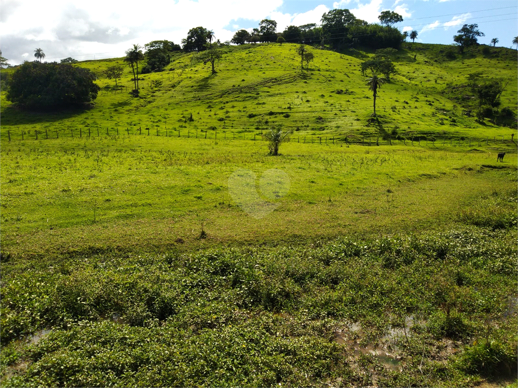 Venda Sítio São João Da Boa Vista Área Rural De São João Da Boa Vista REO634429 38