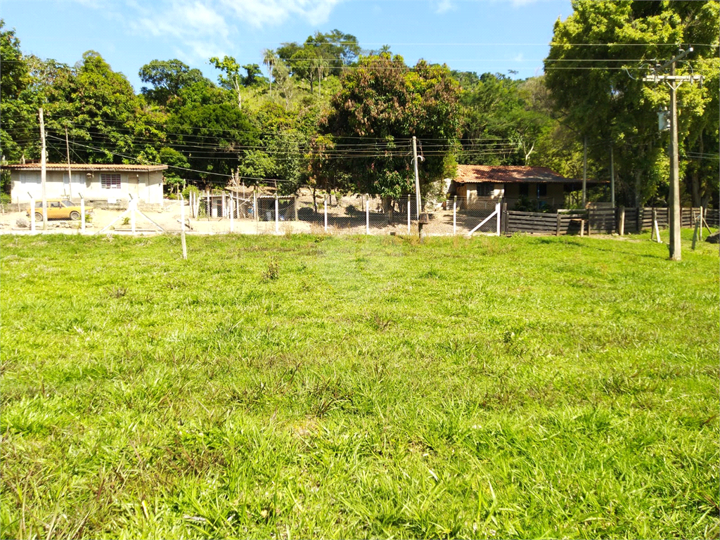 Venda Sítio São João Da Boa Vista Área Rural De São João Da Boa Vista REO634429 1