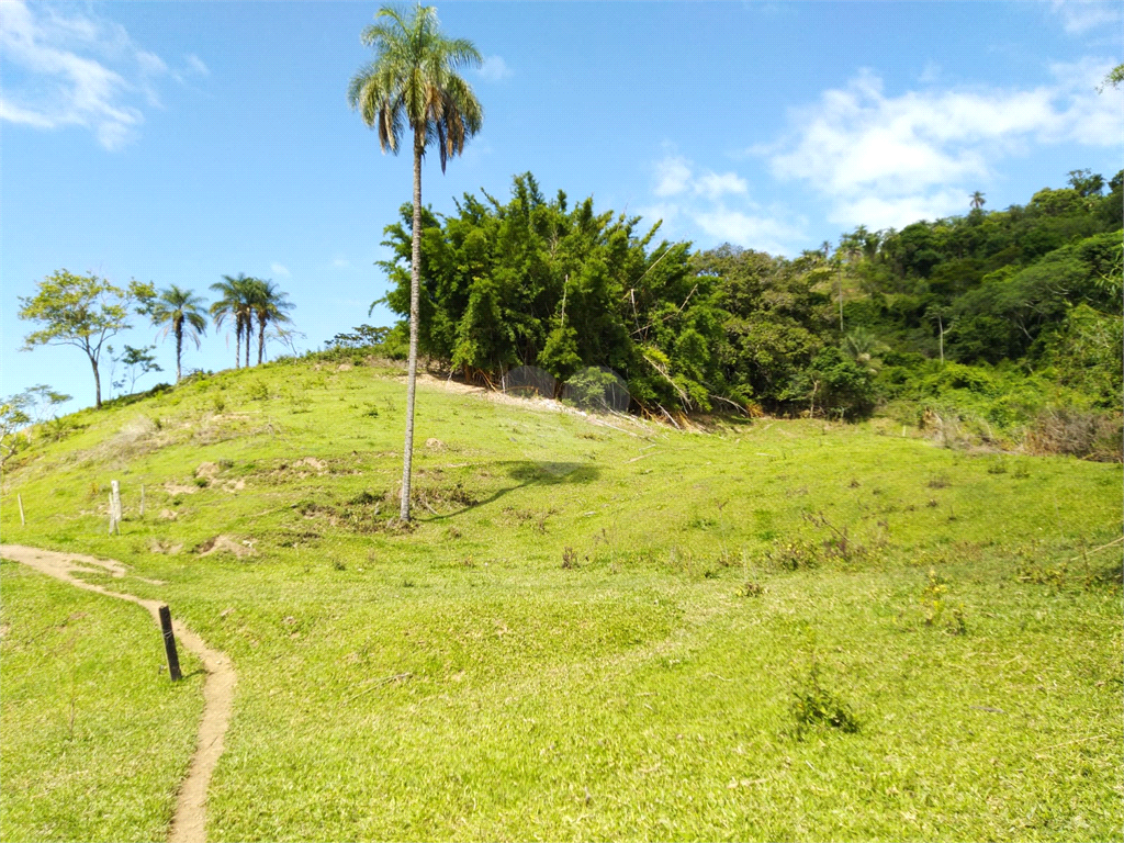 Venda Sítio São João Da Boa Vista Área Rural De São João Da Boa Vista REO634429 33