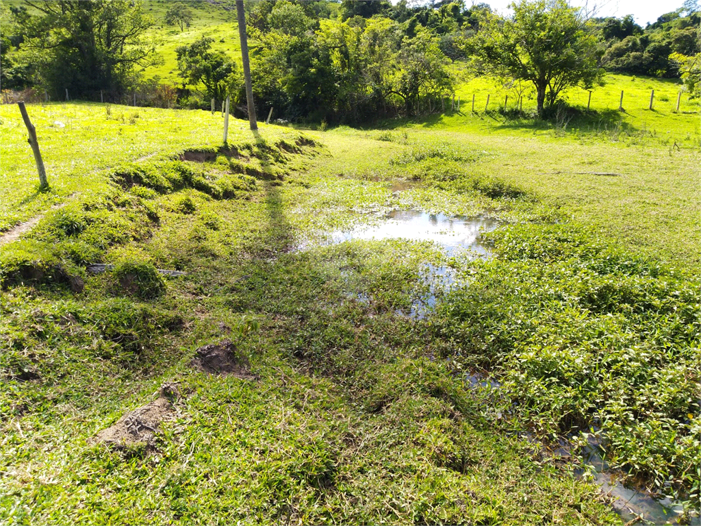 Venda Sítio São João Da Boa Vista Área Rural De São João Da Boa Vista REO634429 18