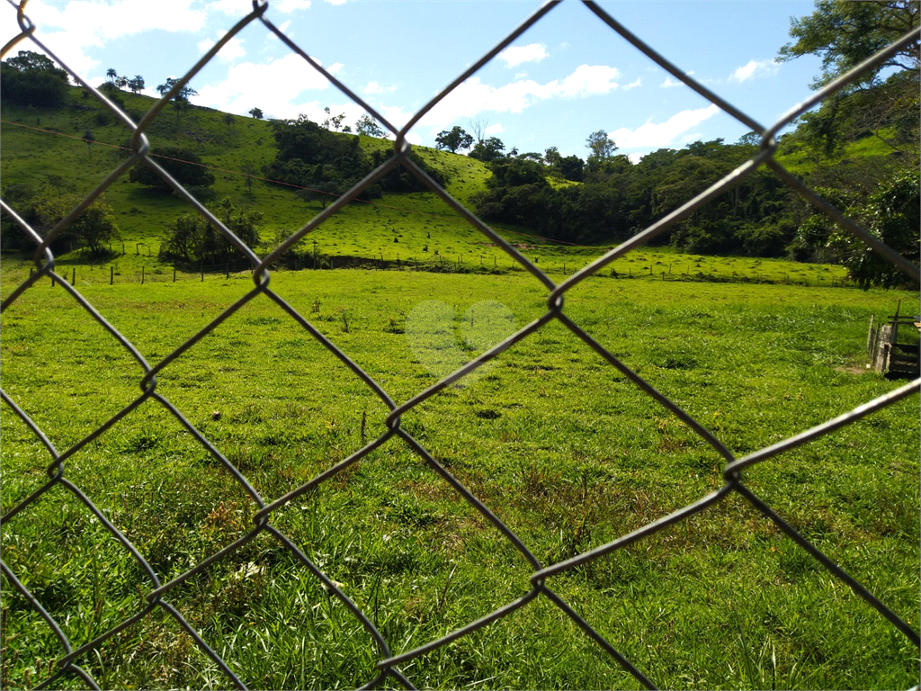 Venda Sítio São João Da Boa Vista Área Rural De São João Da Boa Vista REO634429 9