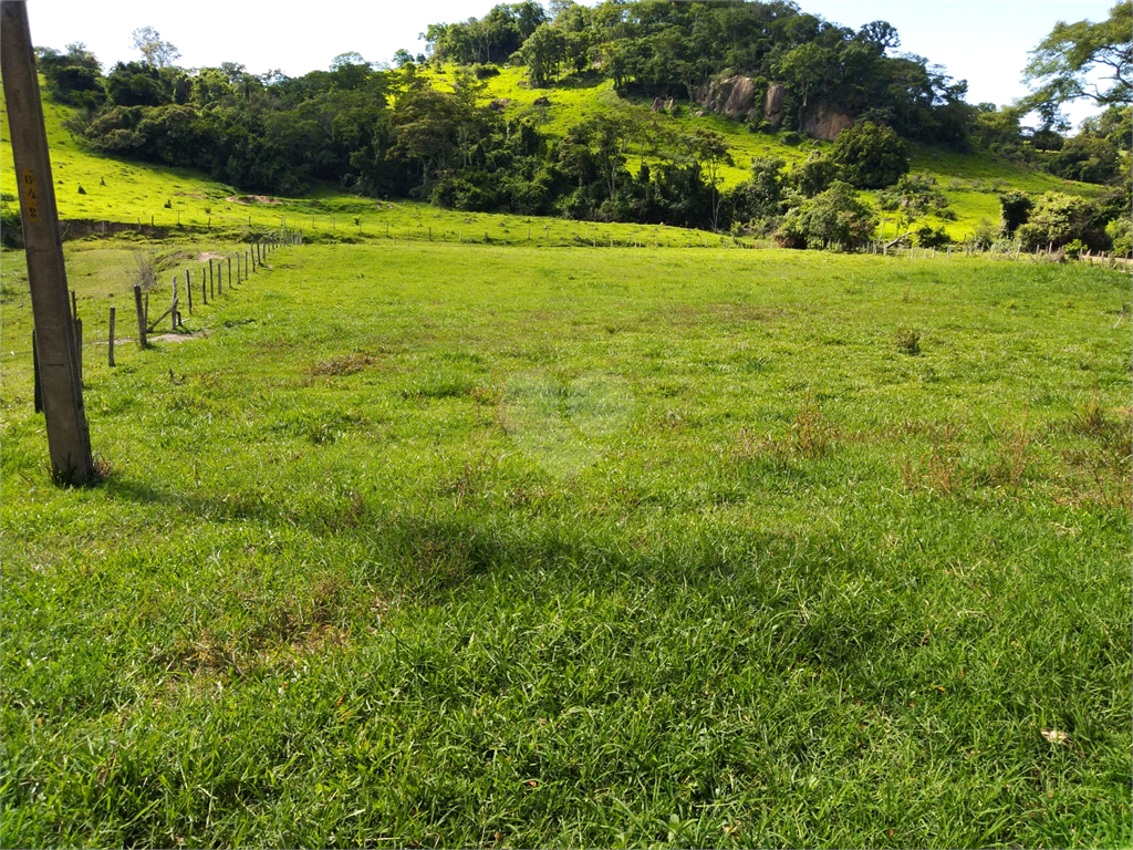 Venda Sítio São João Da Boa Vista Área Rural De São João Da Boa Vista REO634429 24