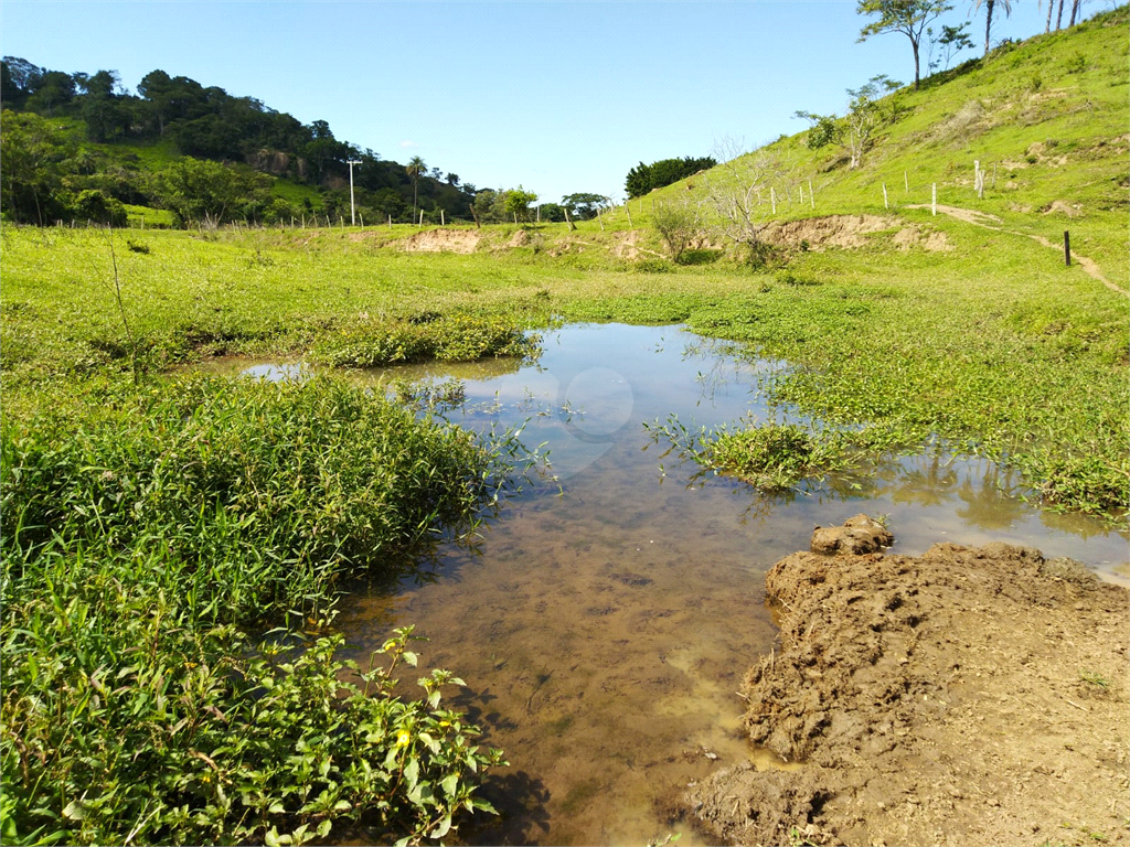 Venda Sítio São João Da Boa Vista Área Rural De São João Da Boa Vista REO634429 34