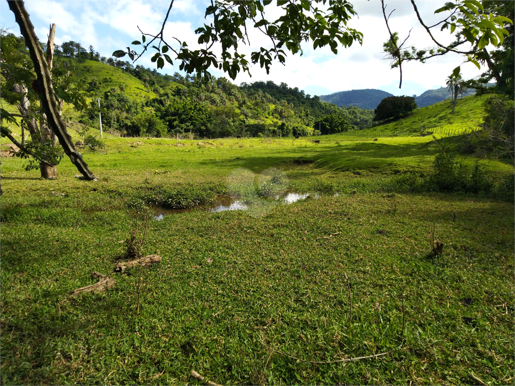 Venda Sítio São João Da Boa Vista Área Rural De São João Da Boa Vista REO634429 19