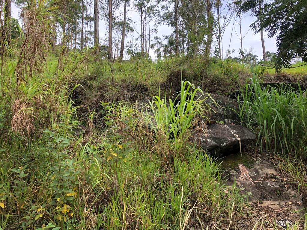 Venda Terreno Mairiporã Barreiro REO634710 4