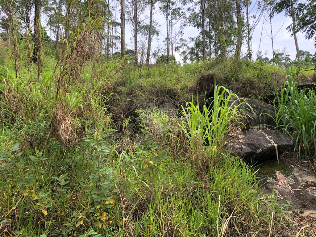 Venda Terreno Mairiporã Barreiro REO634710 3