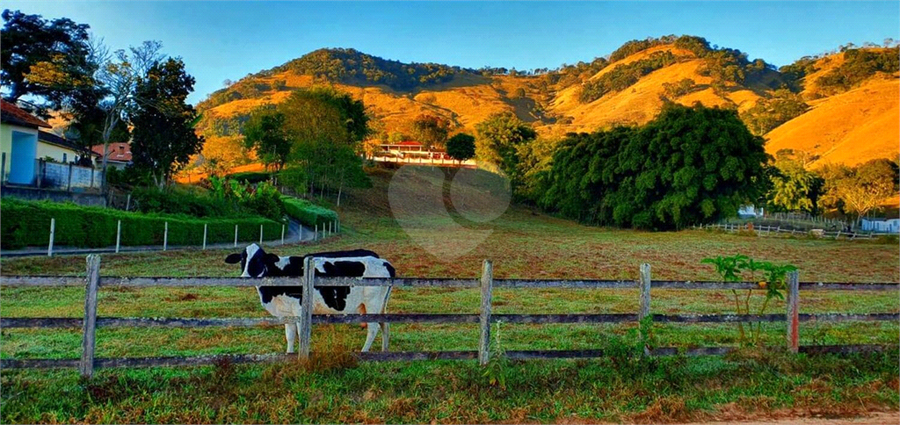 Venda Sítio Cambuí Centro REO634742 11