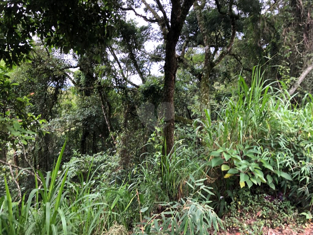 Venda Terreno Mairiporã Barreiro REO634765 7