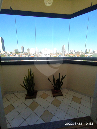Foto REO634903