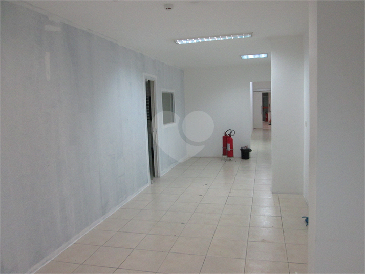 Foto REO63503