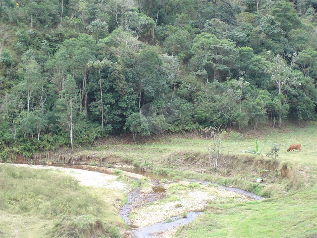 Venda Fazenda Piquete Centro REO635107 11