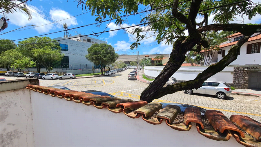 Foto REO635184