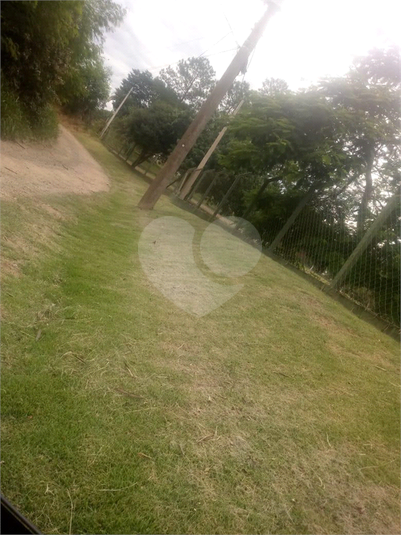 Foto REO635261