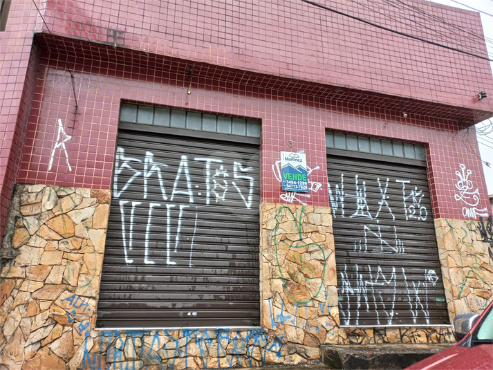 Foto REO635347