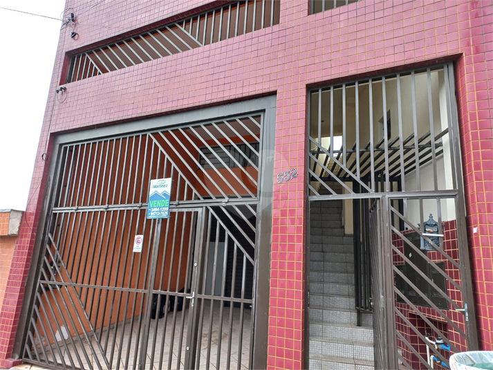 Foto REO635347