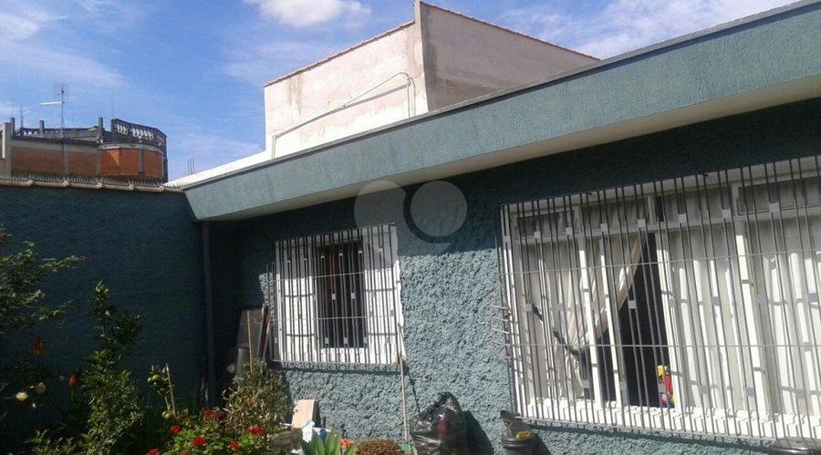 Foto REO63546