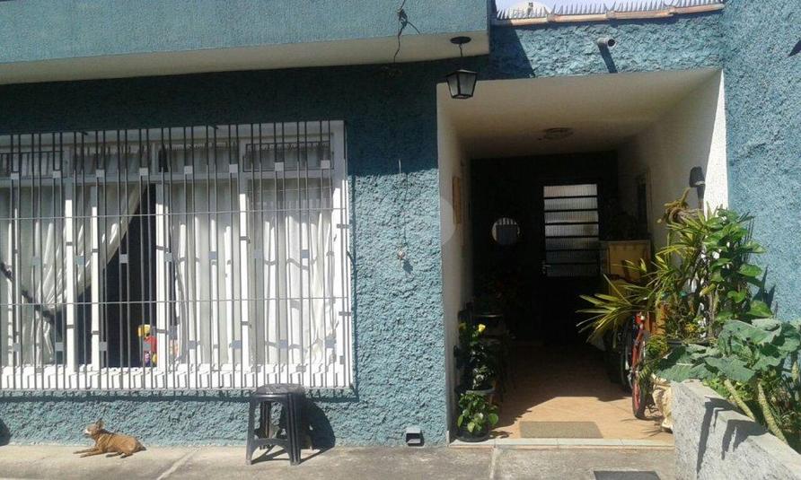 Foto REO63546